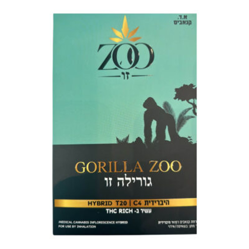 תמונה של גורילה זו (Gorilla Zoo)